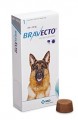 Bravecto 一錠除 (消滅牛蜱、跳蚤及毛囊蟲)(20-40公斤的狗狗