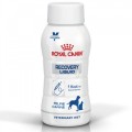 Royal Canin 處方糧 - Recovery Recovery Liquid 200ml (貓/狗)